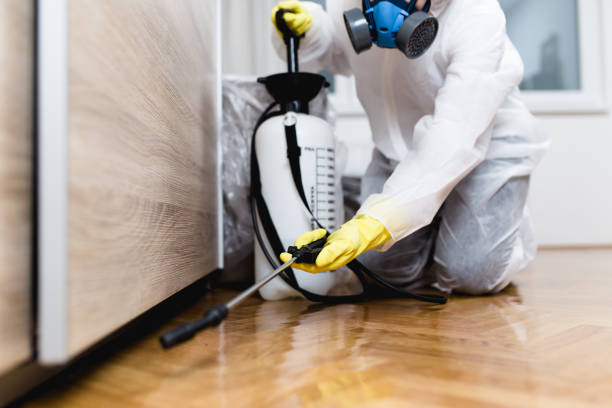 Best Best Pest Control Companies  in Platteville, CO