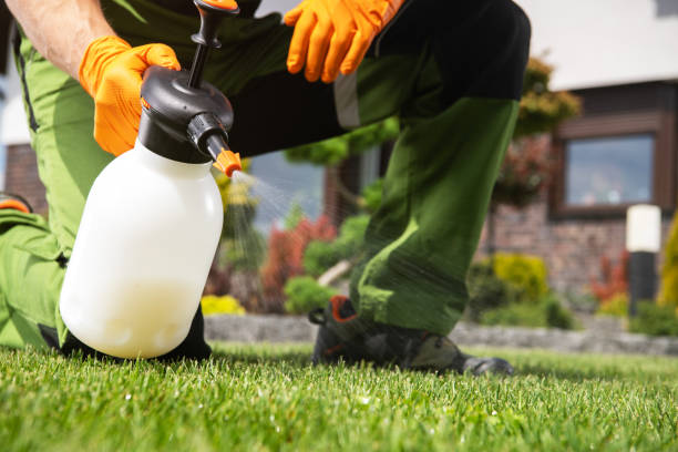 Wildlife Control Services in Platteville, CO