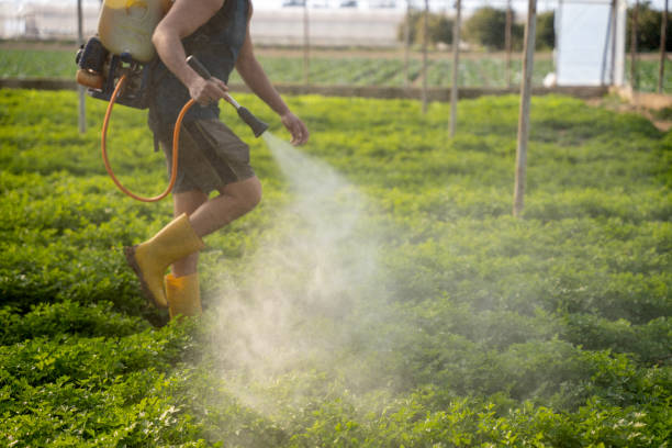 Insect Control in Platteville, CO